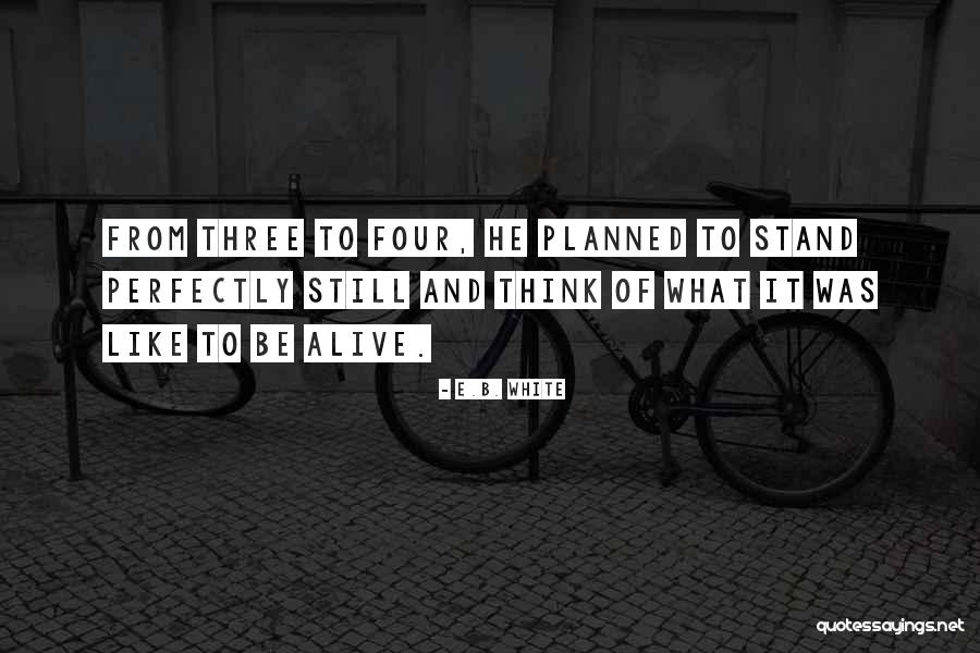 Elektrony Fyzika Quotes By E.B. White Elektrony Fyzika Quotes By E.B. White