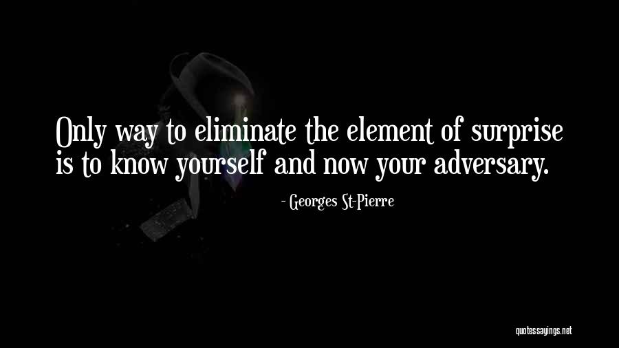 Element Quotes By Georges St-Pierre