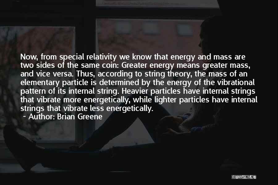 Elementary Particle Quotes By Brian Greene