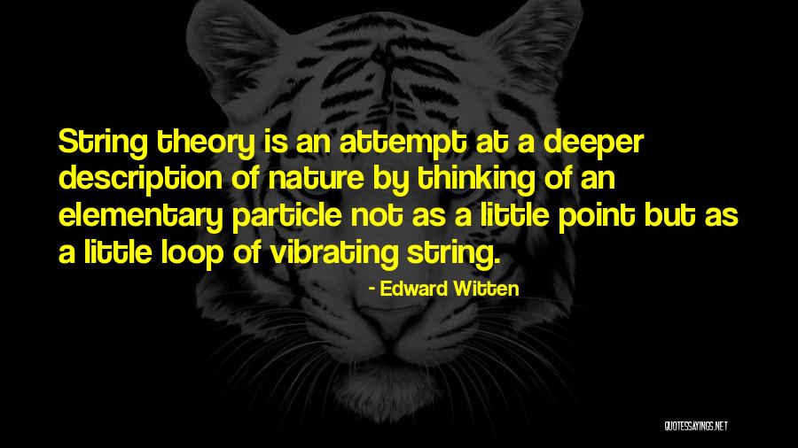 Elementary Particle Quotes By Edward Witten