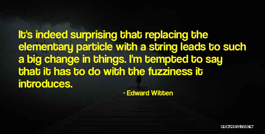 Elementary Particle Quotes By Edward Witten