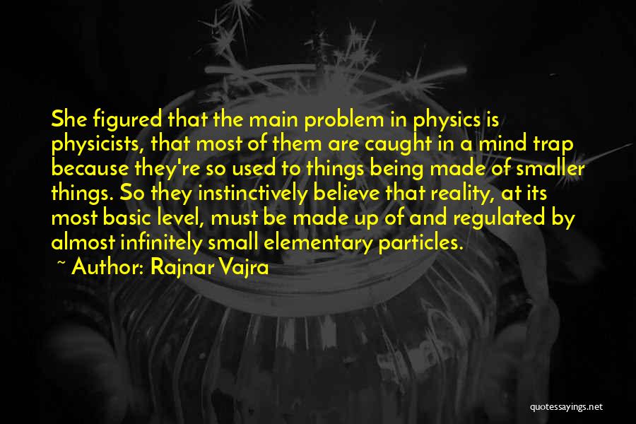 Elementary Particles Quotes By Rajnar Vajra