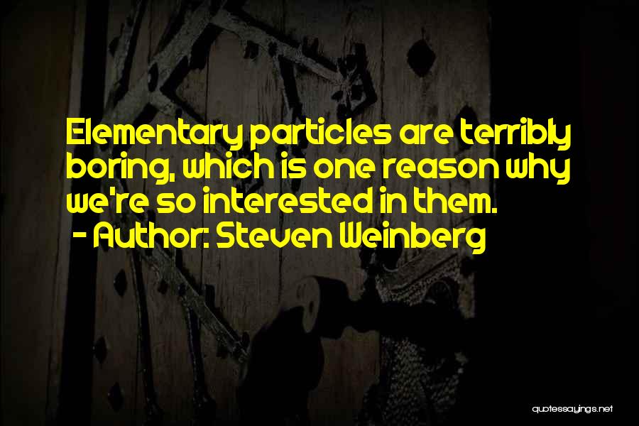 Elementary Particles Quotes By Steven Weinberg