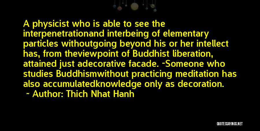 Elementary Particles Quotes By Thich Nhat Hanh