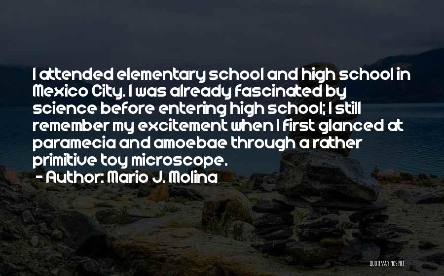 Elementary Quotes By Mario J. Molina