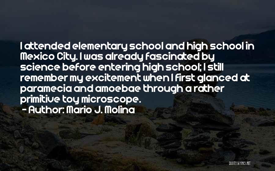 Elementary School Quotes By Mario J. Molina