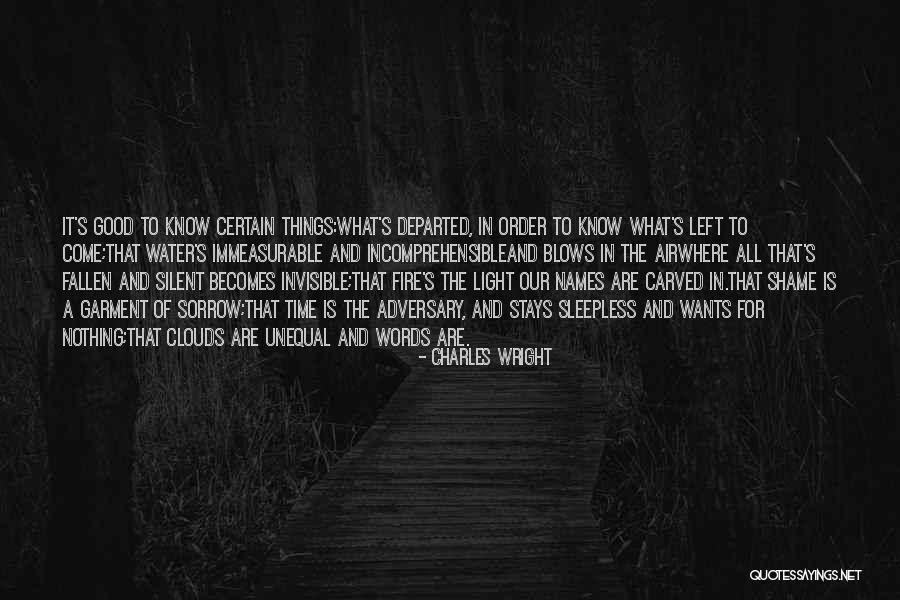 Elements Into Words Quotes By Charles Wright Elements Into Words Quotes By Charles Wright