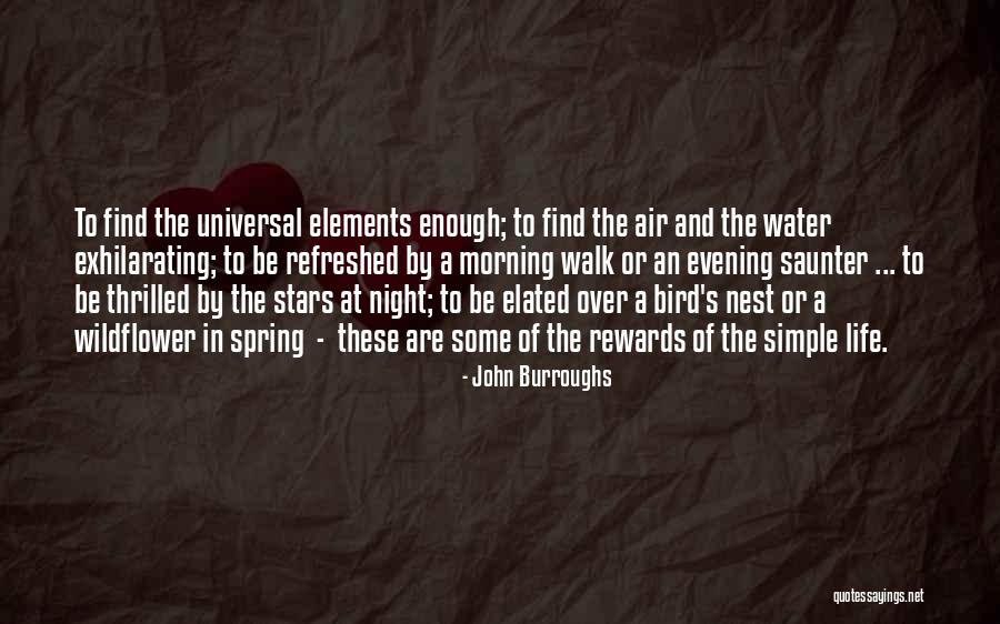 Elements Science Quotes By John Burroughs