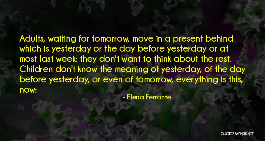 Elena Ferrante Quotes 733221 Elena Ferrante Quotes 733221