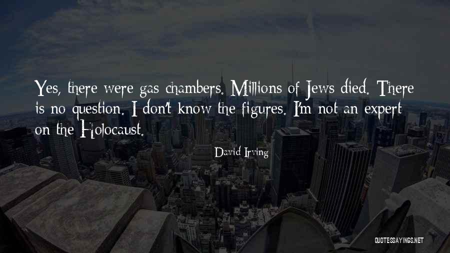 Elena Immo Quotes By David Irving Elena Immo Quotes By David Irving