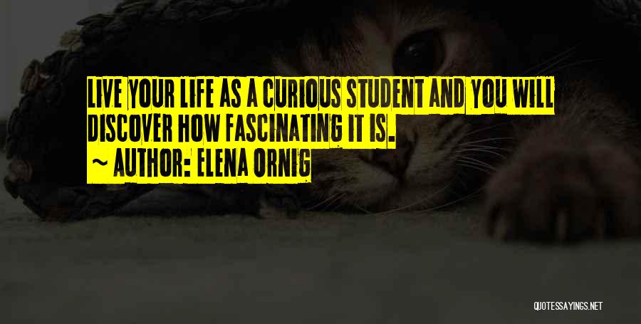 Elena Ornig Quotes 631673