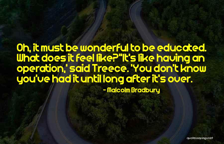 Elenchus Test Quotes By Malcolm Bradbury Elenchus Test Quotes By Malcolm Bradbury