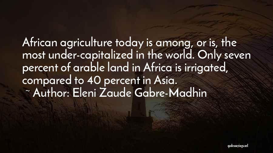 Eleni Zaude Gabre-Madhin Quotes 1076986