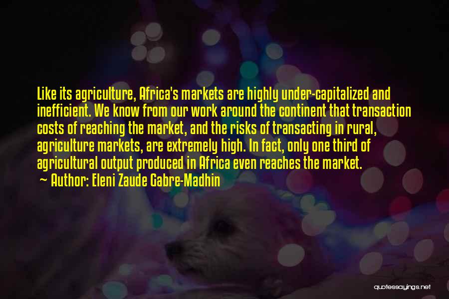 Eleni Zaude Gabre-Madhin Quotes 914181
