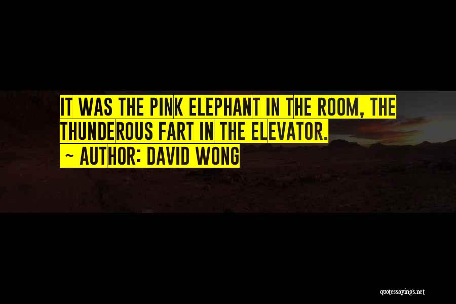 Elephant In The Room Quotes By David Wong