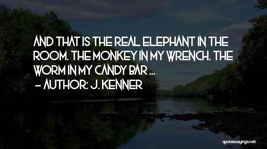 Elephant In The Room Quotes By J. Kenner