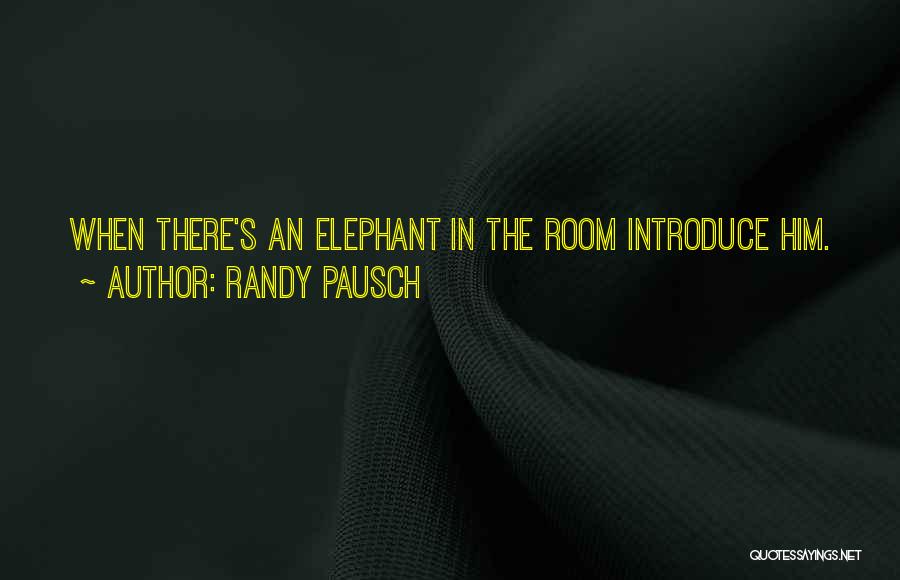 Elephant In The Room Quotes By Randy Pausch