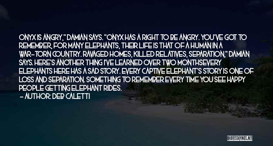 Elephant Rides Quotes By Deb Caletti