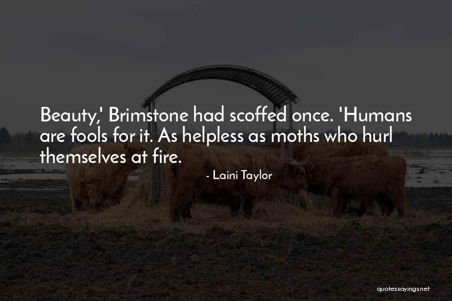 Elephant Trekking Quotes By Laini Taylor Elephant Trekking Quotes By Laini Taylor