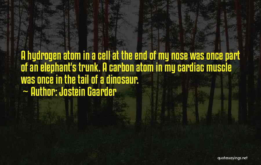 Elephant Trunk Quotes By Jostein Gaarder