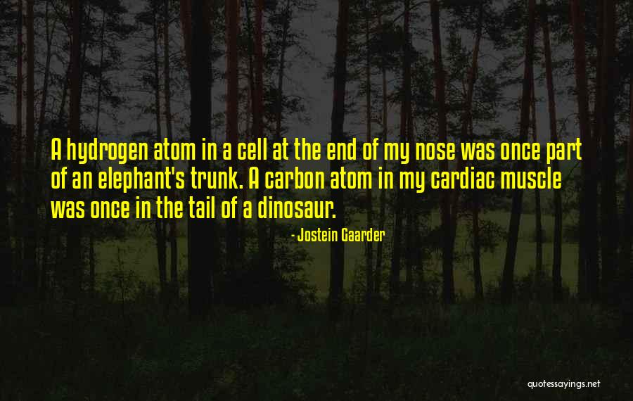 Elephant Trunk Quotes By Jostein Gaarder