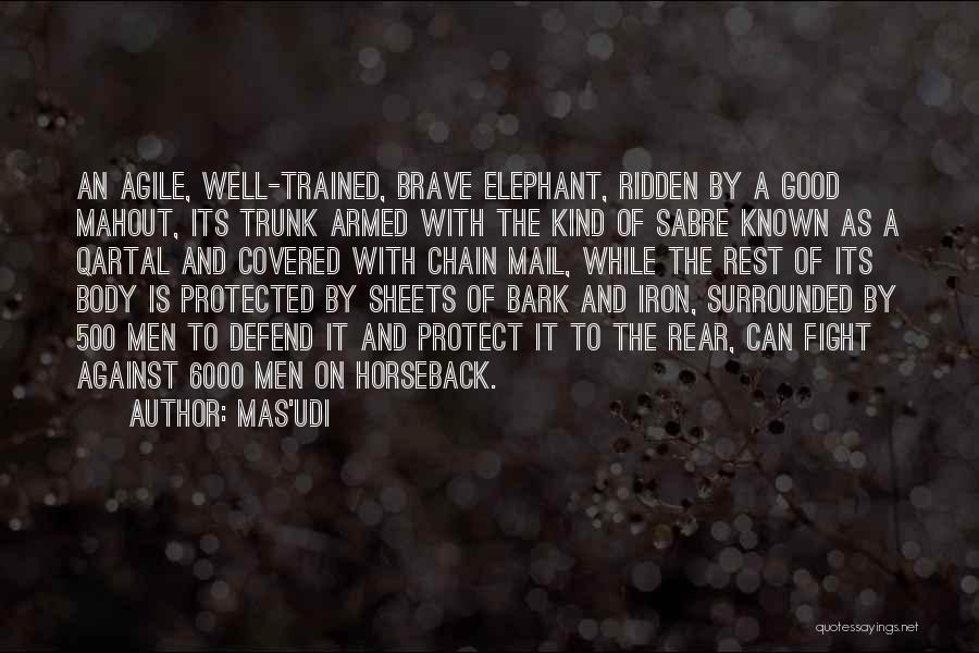 Elephant Trunk Quotes By Mas'udi