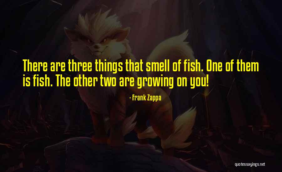 Elephant White Movie Quotes By Frank Zappa Elephant White Movie Quotes By Frank Zappa
