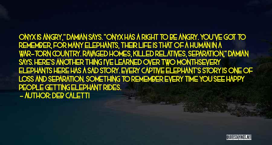 Elephants And Life Quotes By Deb Caletti