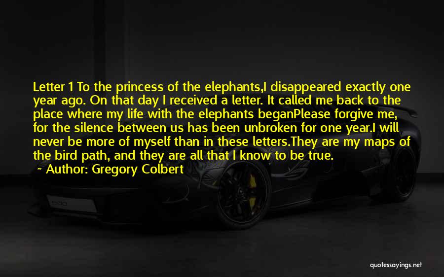 Elephants And Life Quotes By Gregory Colbert