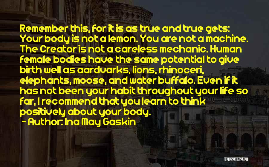 Elephants And Life Quotes By Ina May Gaskin