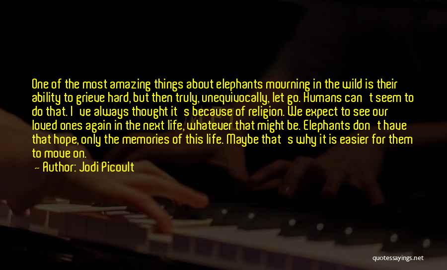 Elephants And Life Quotes By Jodi Picoult