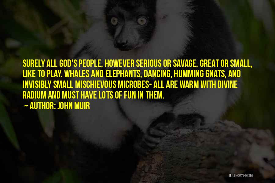 Elephants And Life Quotes By John Muir