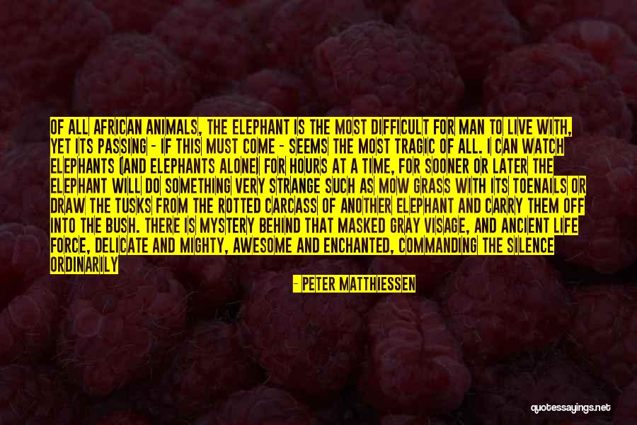 Elephants And Life Quotes By Peter Matthiessen Elephants And Life Quotes By Peter Matthiessen
