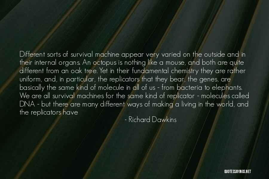 Elephants From Water For Elephants Quotes By Richard Dawkins