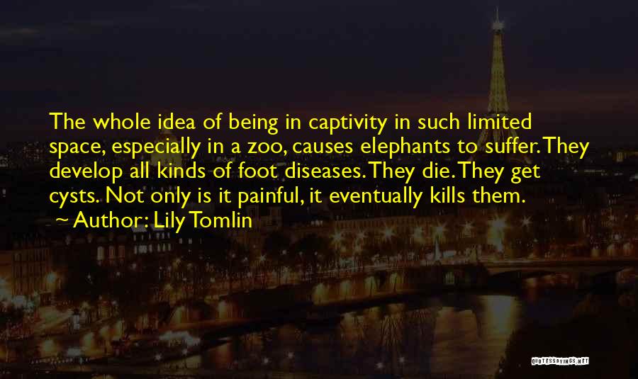 Elephants In Captivity Quotes By Lily Tomlin