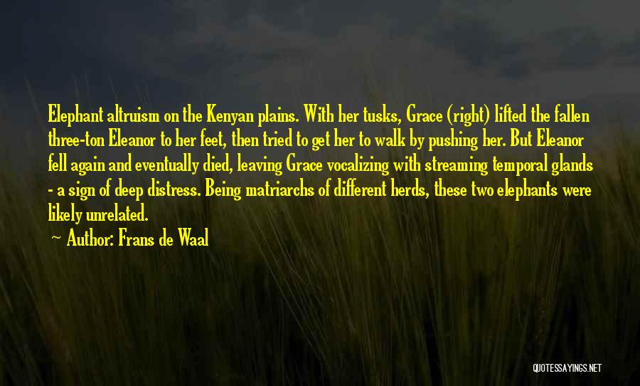 Elephants Tusks Quotes By Frans De Waal