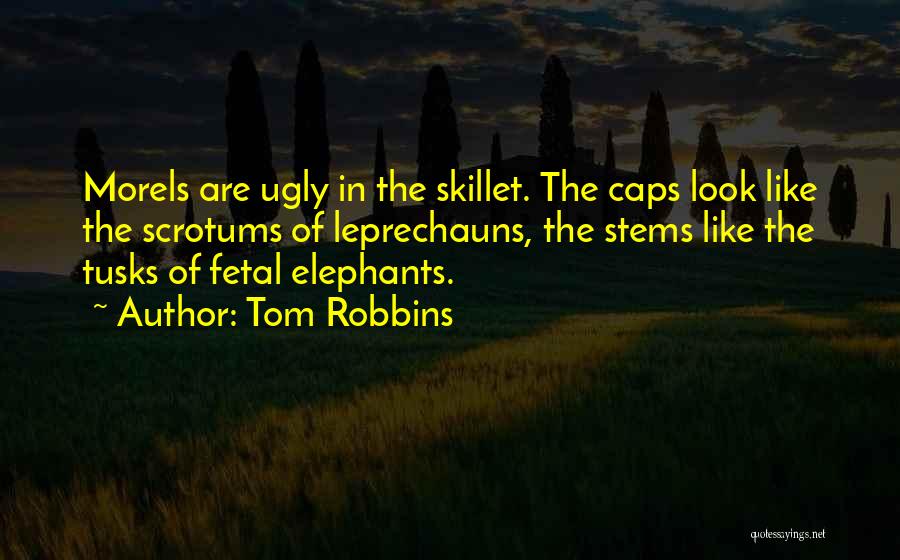 Elephants Tusks Quotes By Tom Robbins