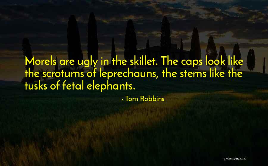 Elephants Tusks Quotes By Tom Robbins