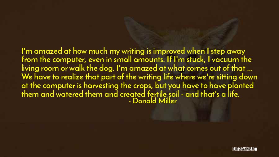 Elestra Dragon Quotes By Donald Miller Elestra Dragon Quotes By Donald Miller