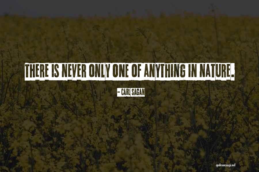 Eletrizantes Quotes By Carl Sagan Eletrizantes Quotes By Carl Sagan