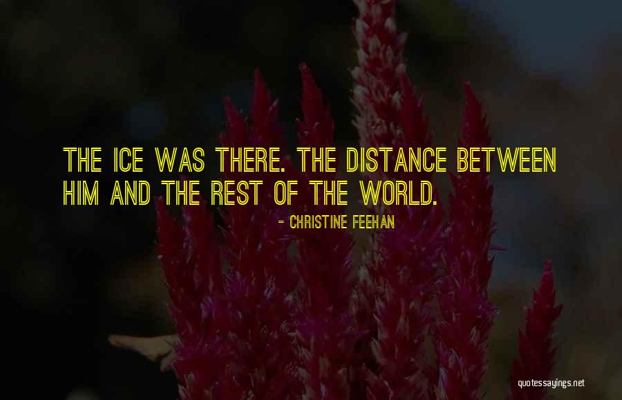 Elettronica Pagani Quotes By Christine Feehan Elettronica Pagani Quotes By Christine Feehan