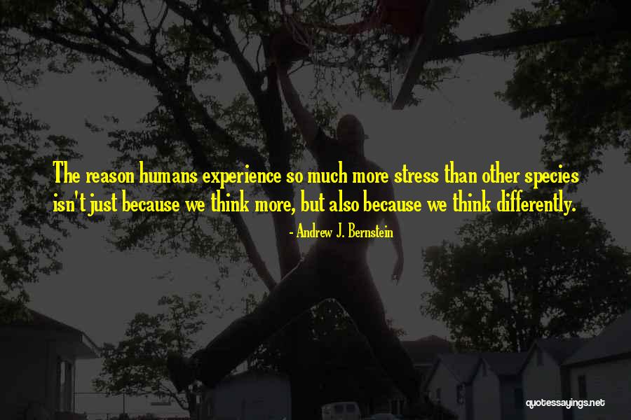 Eleuia Quotes By Andrew J. Bernstein Eleuia Quotes By Andrew J. Bernstein