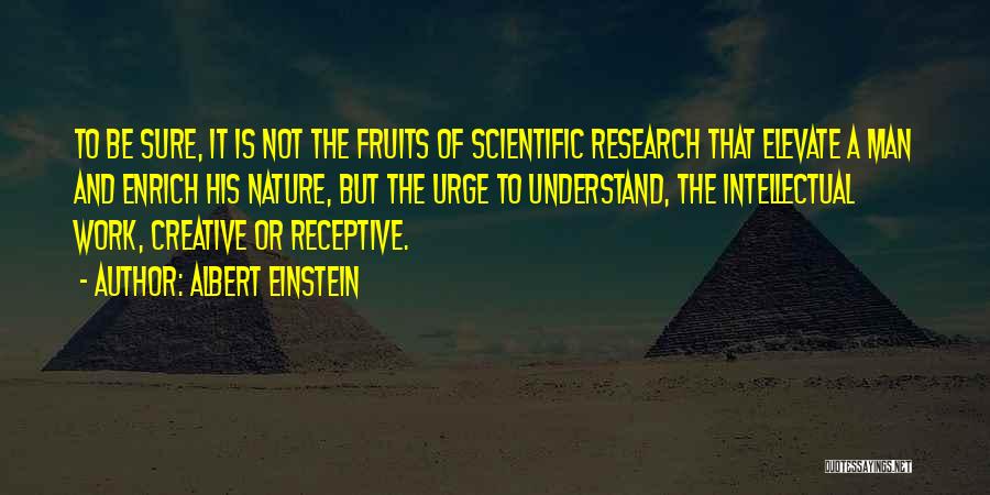 Elevate Quotes By Albert Einstein