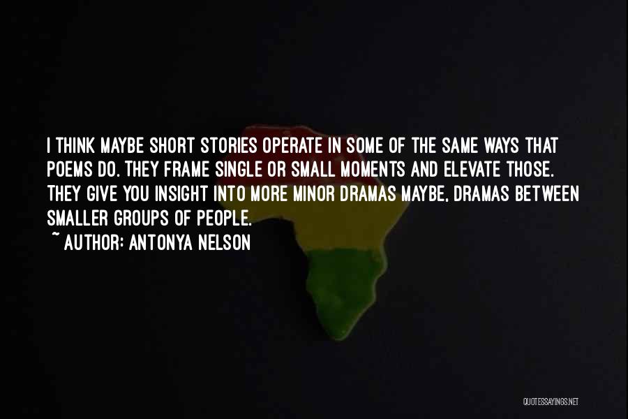 Elevate Quotes By Antonya Nelson