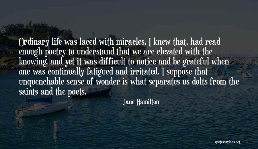 Elevated Quotes By Jane Hamilton