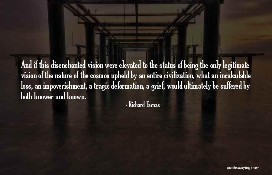 Elevated Quotes By Richard Tarnas