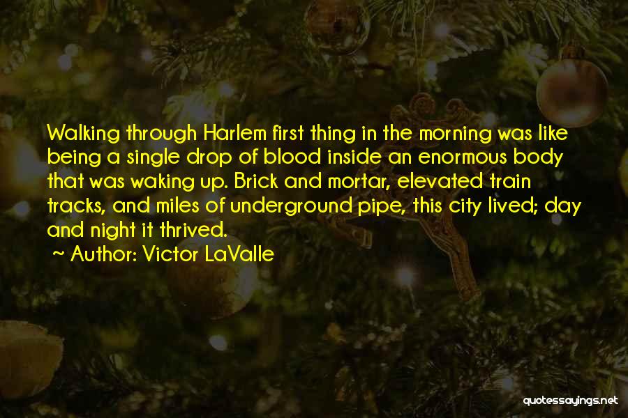 Elevated Quotes By Victor LaValle
