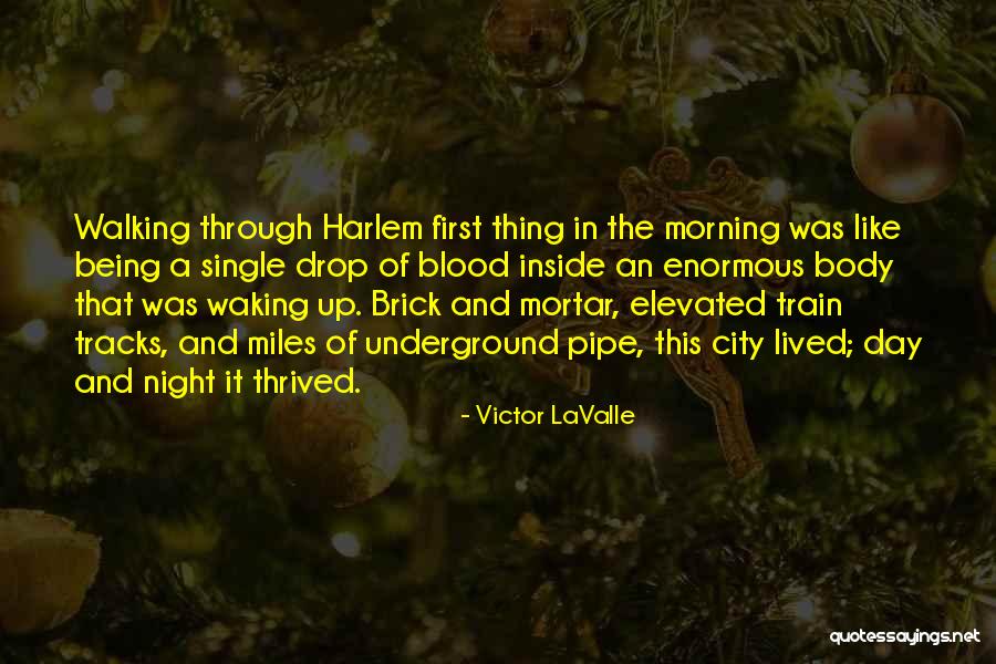 Elevated Quotes By Victor LaValle