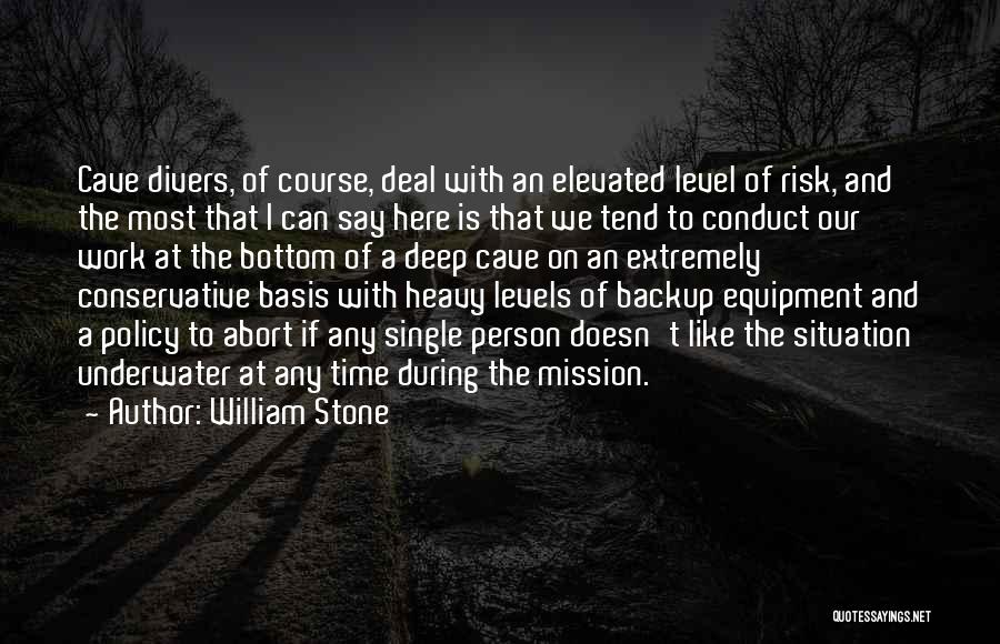 Elevated Quotes By William Stone