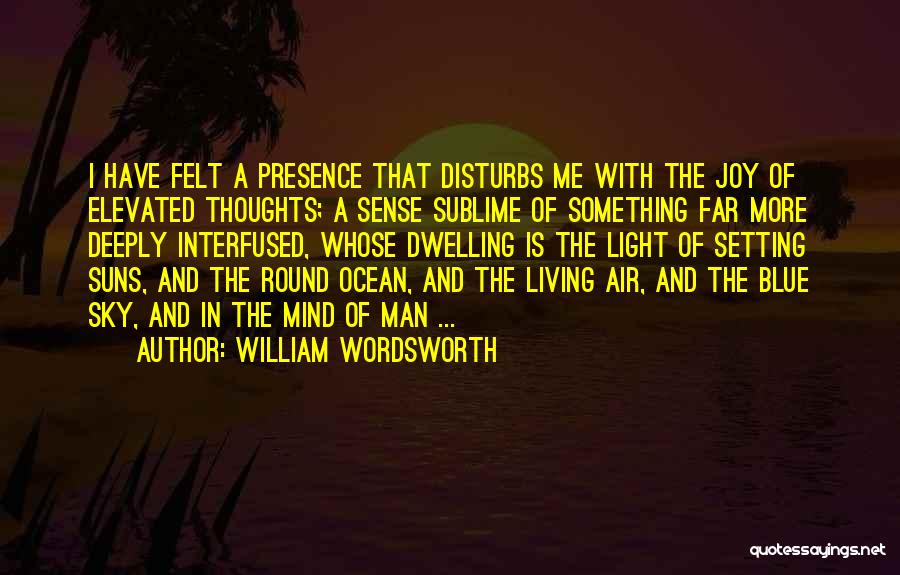 Elevated Thoughts Quotes By William Wordsworth